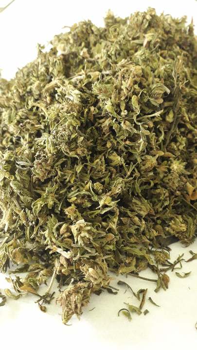 Trim CBG pour infusion